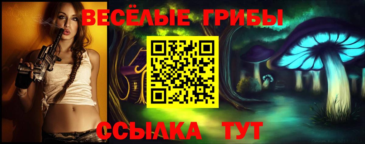 Галлюциногенные грибы GOLDEN TEACHER Тара